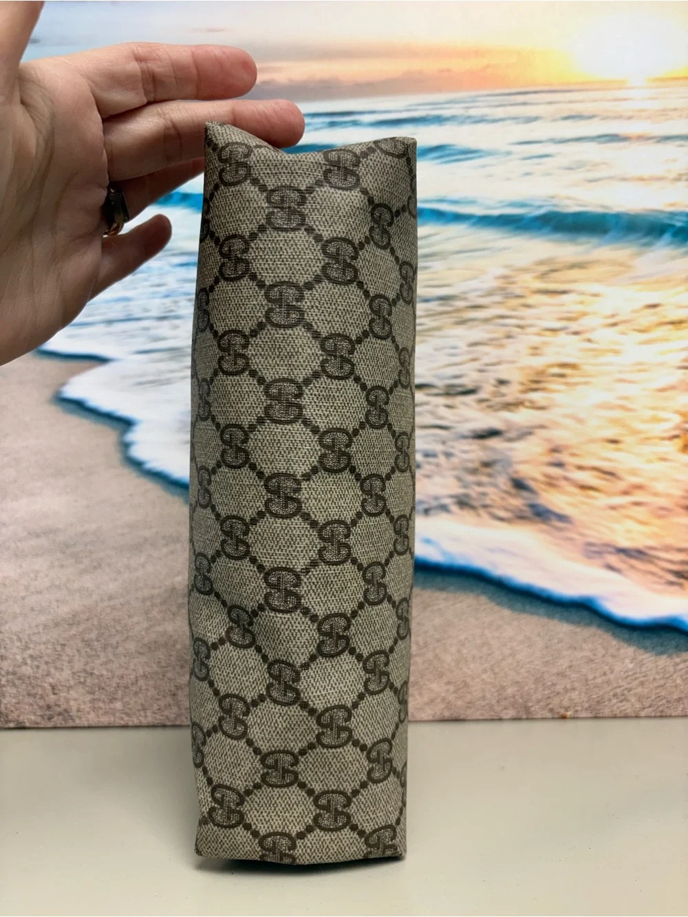 AUTH Vintage Gucci Accessory Collection GG Supreme Clutch Pouch Bag 89.01.045